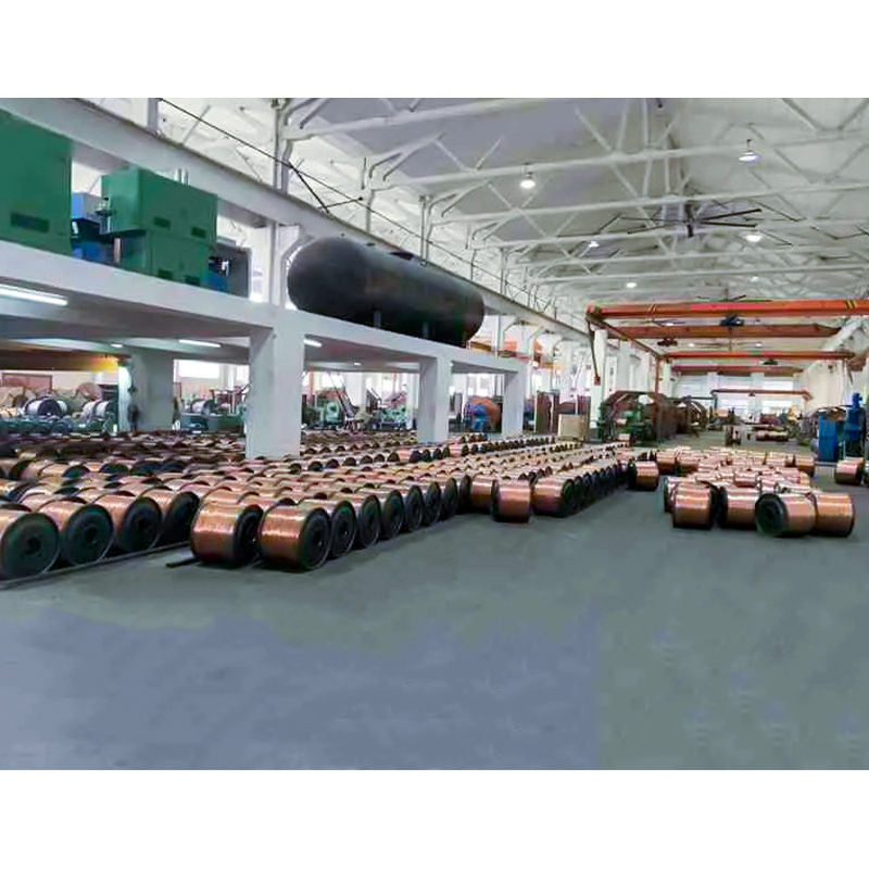 سیم و کابل عایق پلی الفین متقاطع با ولتاژ نامی تا 450/750 ولت