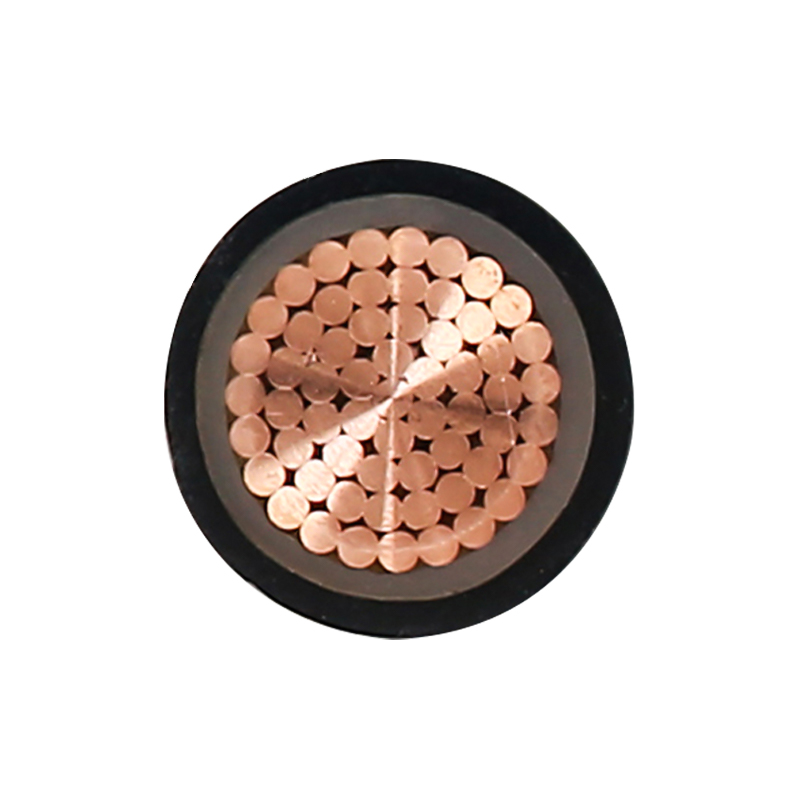 کابل شارژ EV برای ولتاژ نامی 450/750 ولت