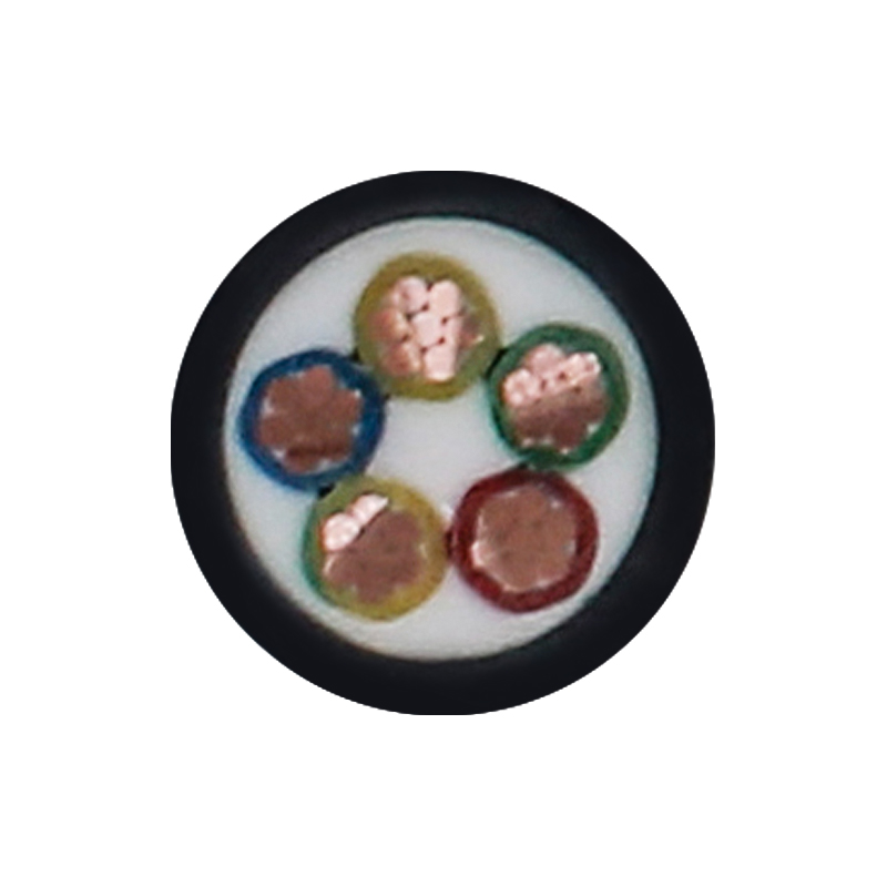 کابل شارژ EV برای ولتاژ نامی 450/750 ولت