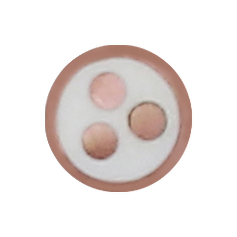 کابل شارژ EV برای ولتاژ نامی 450/750 ولت